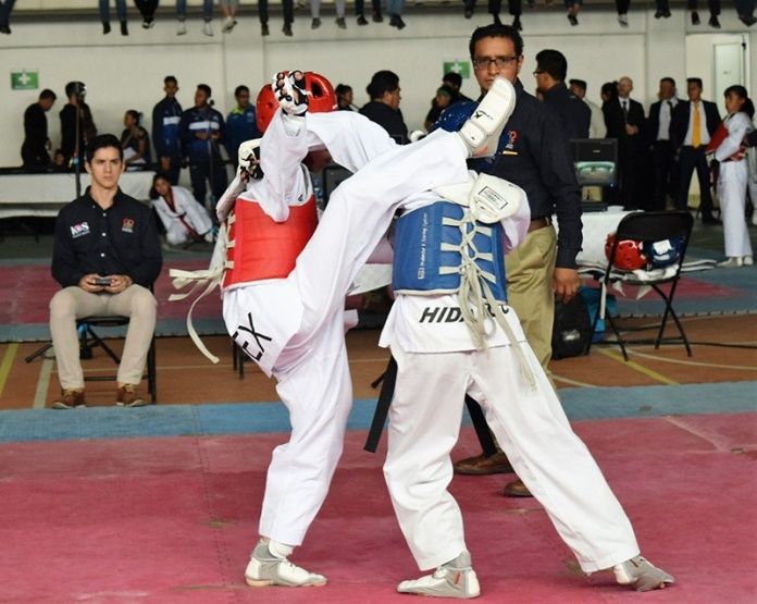 taekwondo hidalgo