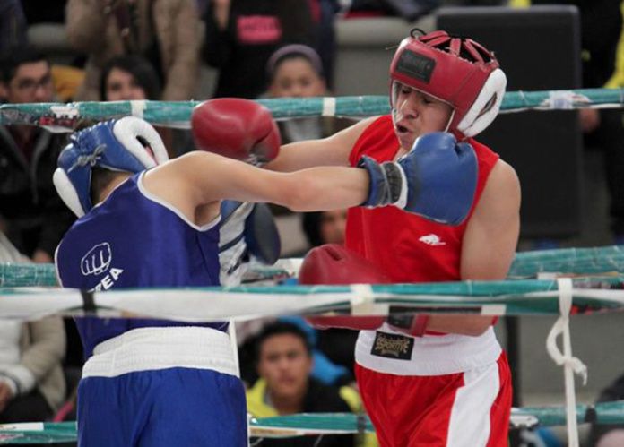 boxeo hidalgo