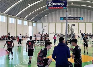 La sinergia es la clave para que despegue el voleibol