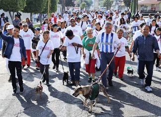 Regresa al Perrotón a Pachuca con causa y espíritu deportivo