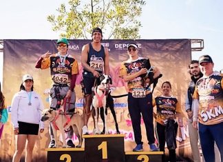 Perrotón Pachuca 2025: 5 kilómetros de solidaridad y compromiso