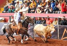 Villa Oro logra 464 puntos históricos y avanza a semifinales