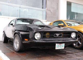 La pasión por el Mustang llegará a Pachuca con potencia