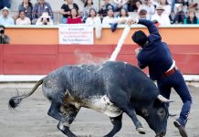 Pachuca se prepara con su gran Corrida de Banderilleros