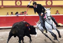 La Vicente Segura se alista para una tarde histórica en su 47 aniversario