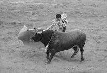 Tarde de orejas en festejo de la Vicente Segura