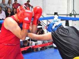 Guantes de Oro prepara las finales en Pachuca