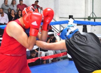 Guantes de Oro prepara las finales en Pachuca