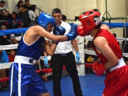 Guantes de Oro, inicia la renovación del boxeo en Hidalgo