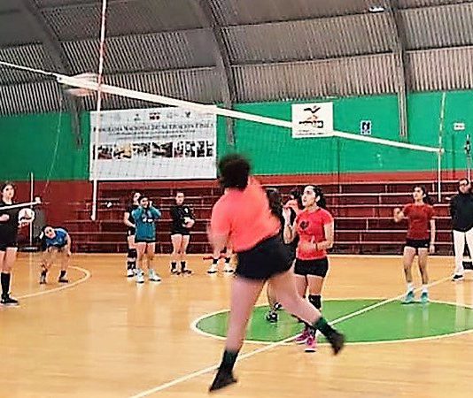 Serial de voleibol en Mixquiahuala, Actopan y Progreso