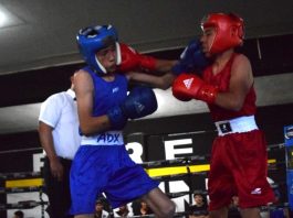 Boxeo concluye el estatal y apuntan al regional en Tlaxcala