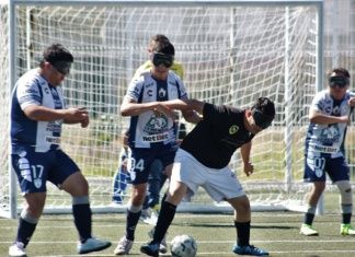 Devoran los Leones de Jalisco 12-0 a los Tuzos de Plata